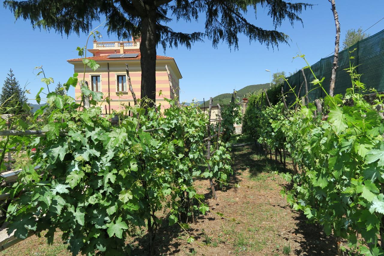 فالو ديلا لوكانيا Villa Vincenza المظهر الخارجي الصورة