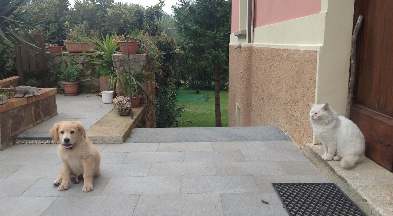 فالو ديلا لوكانيا Villa Vincenza المظهر الخارجي الصورة