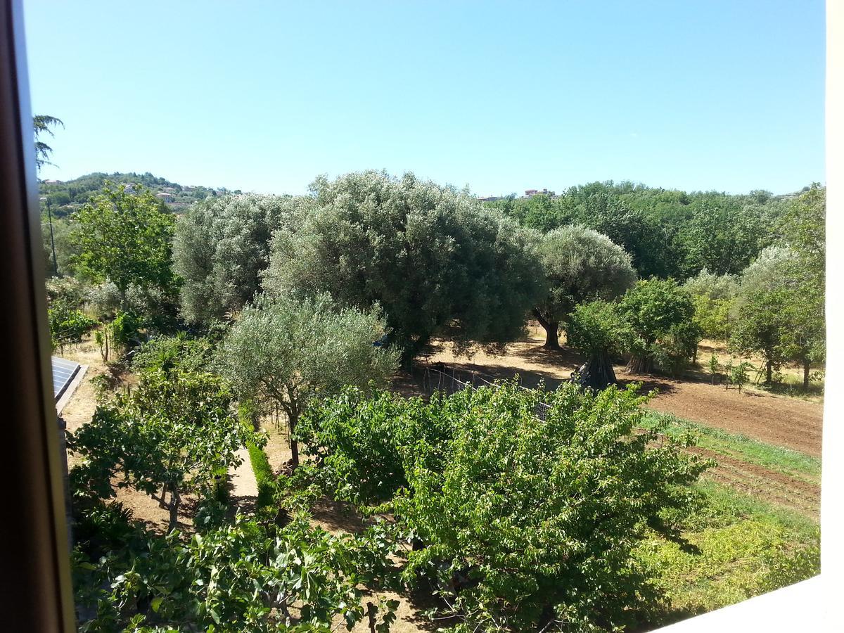 فالو ديلا لوكانيا Villa Vincenza المظهر الخارجي الصورة